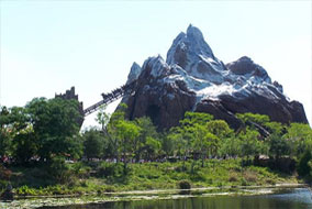 Animal Kingdom 