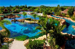 Discovery Cove