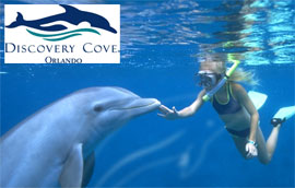 Discovery Cove