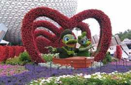 Epcot Events